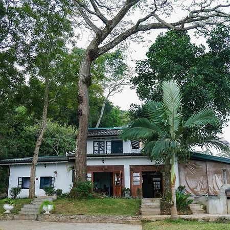 Welikande Yoga Retreats Hotel Digana Bagian luar foto