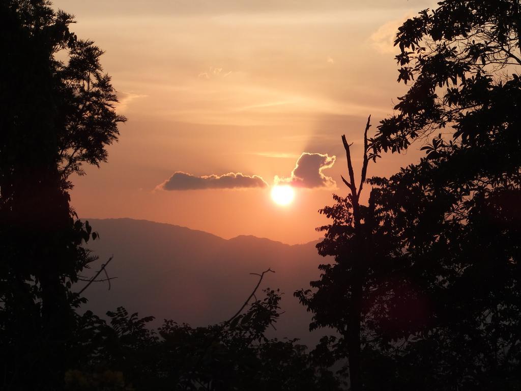 Welikande Yoga Retreats Hotel Digana Ruang foto