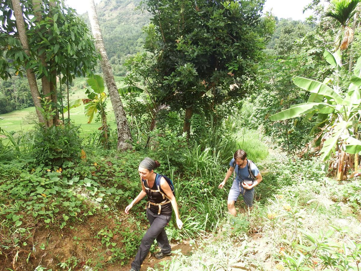 Welikande Yoga Retreats Hotel Digana Bagian luar foto
