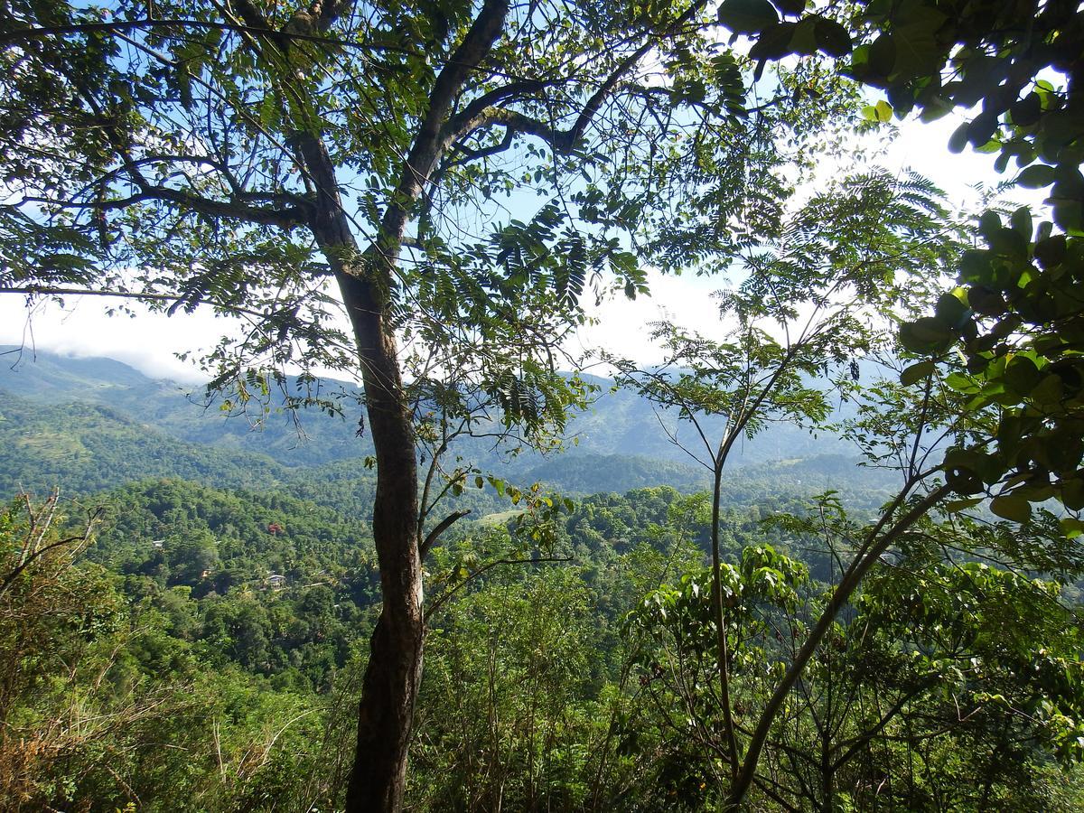 Welikande Yoga Retreats Hotel Digana Bagian luar foto