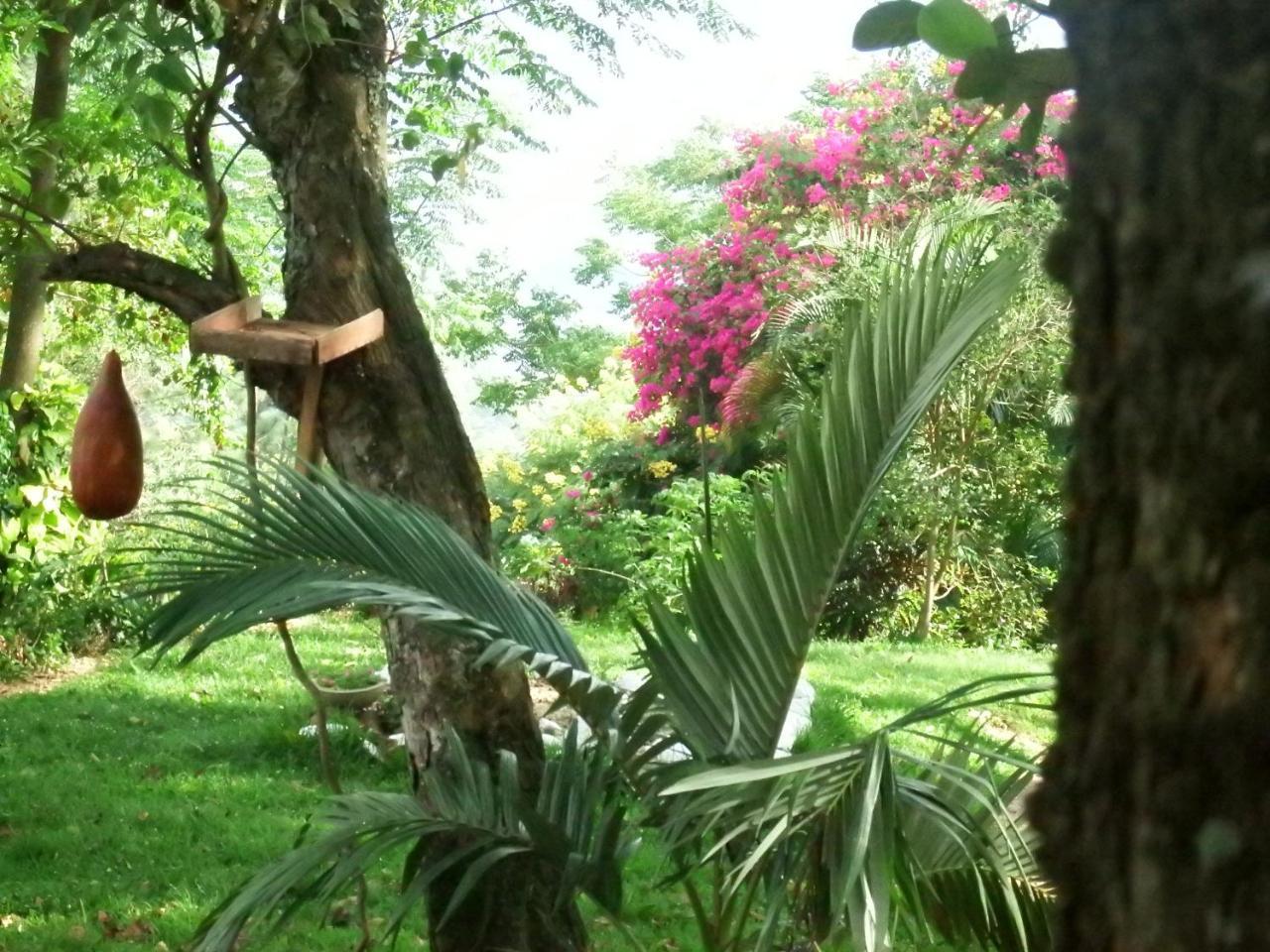 Welikande Yoga Retreats Hotel Digana Bagian luar foto